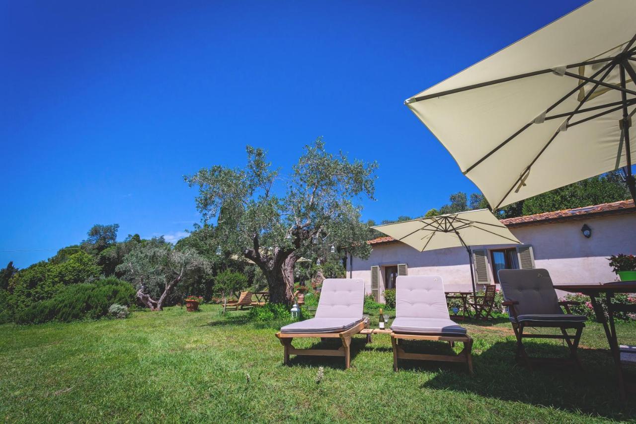 Gatto Rosso Bed and Breakfast Bolgheri Exterior foto