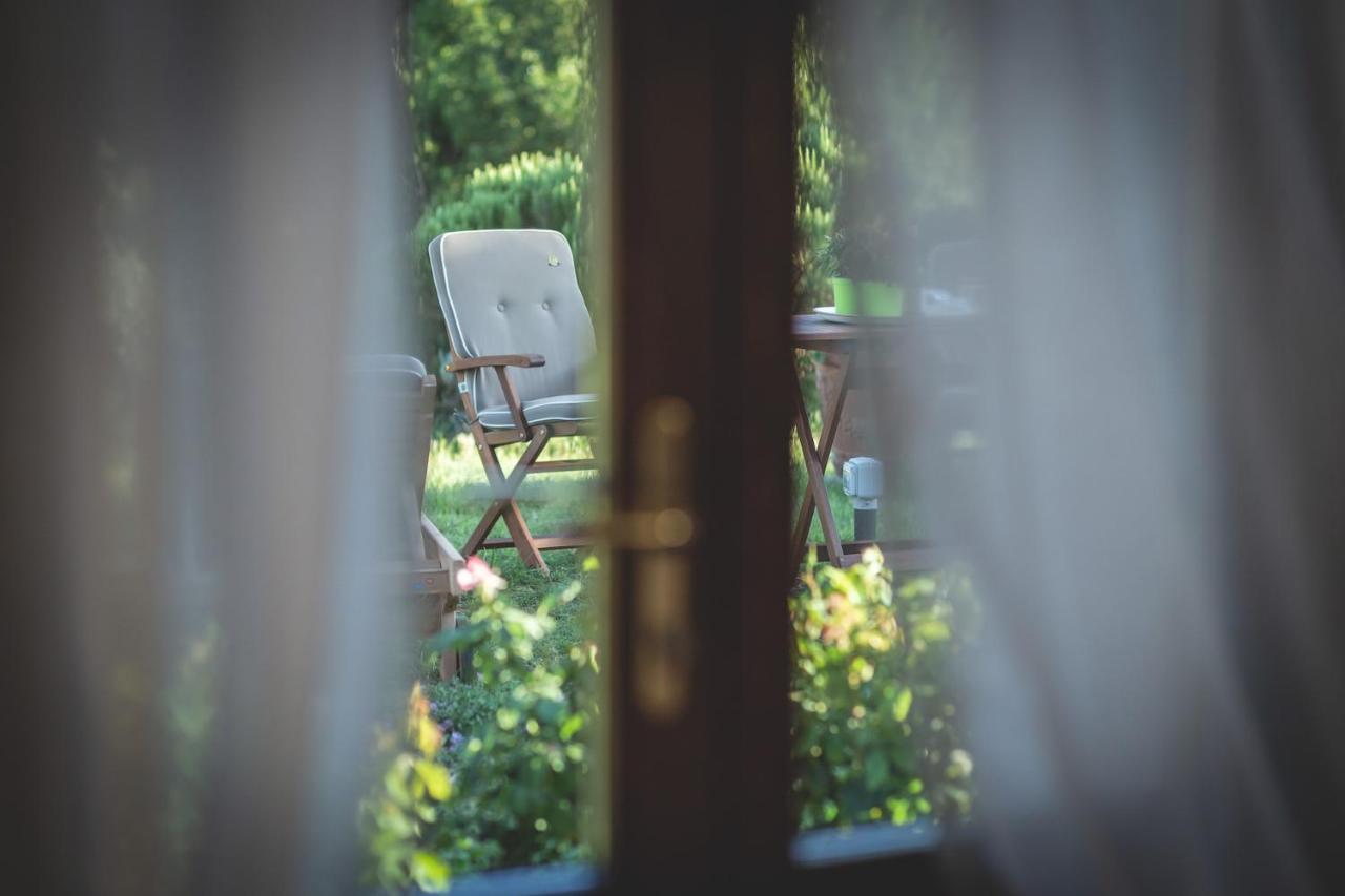 Gatto Rosso Bed and Breakfast Bolgheri Exterior foto
