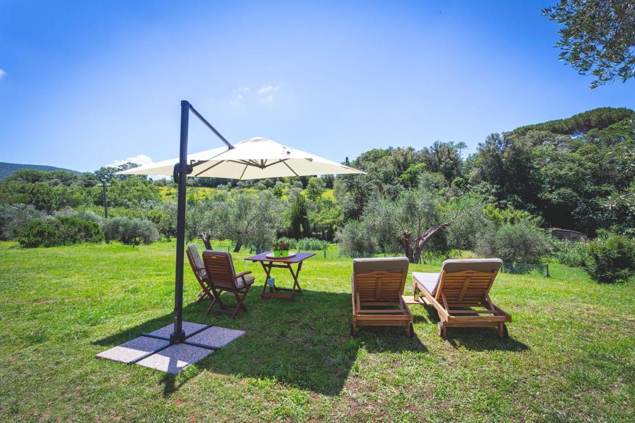 Gatto Rosso Bed and Breakfast Bolgheri Exterior foto