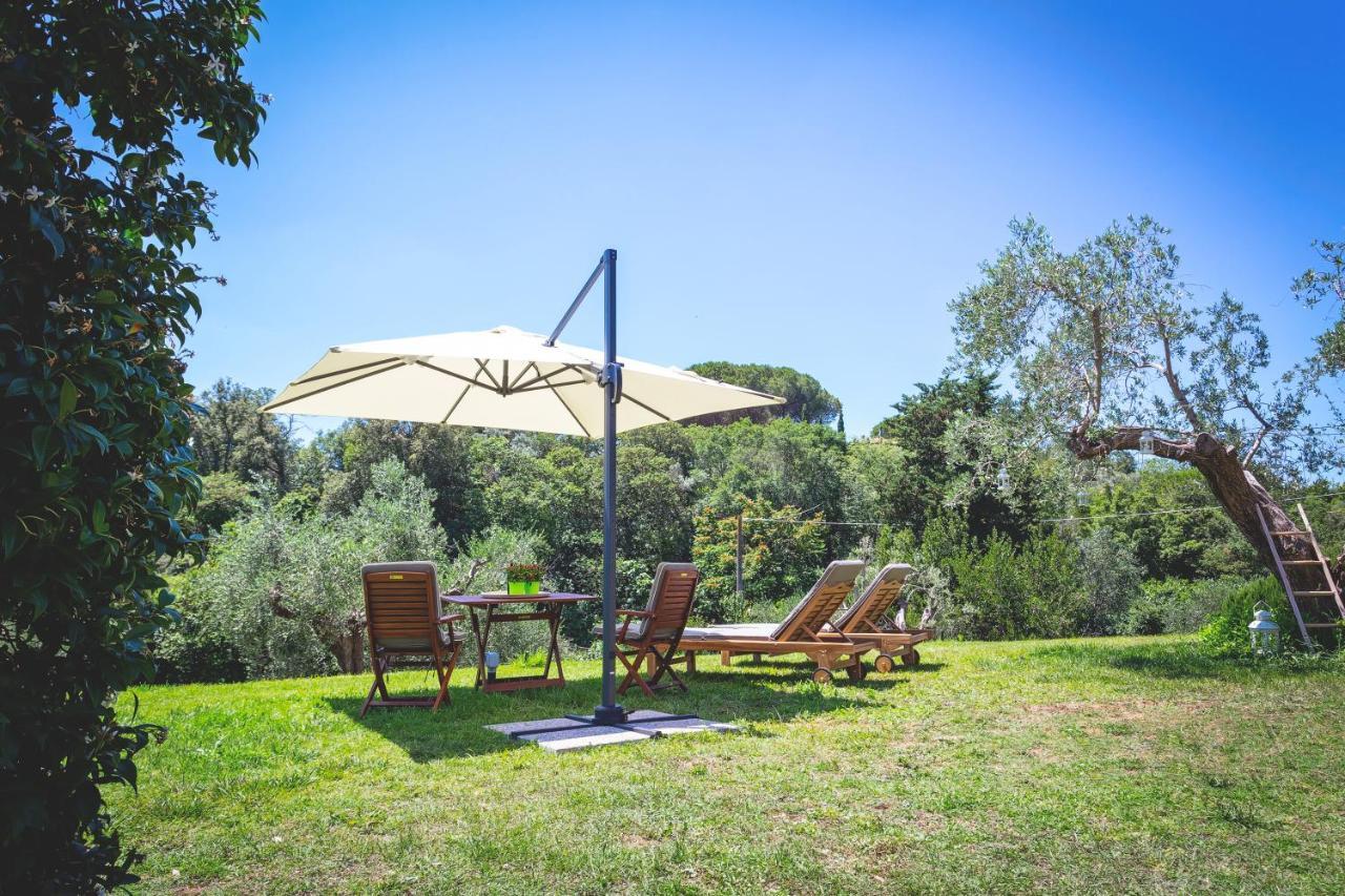 Gatto Rosso Bed and Breakfast Bolgheri Exterior foto