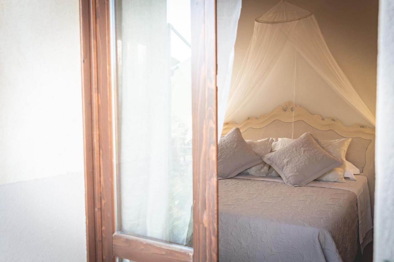 Gatto Rosso Bed and Breakfast Bolgheri Exterior foto