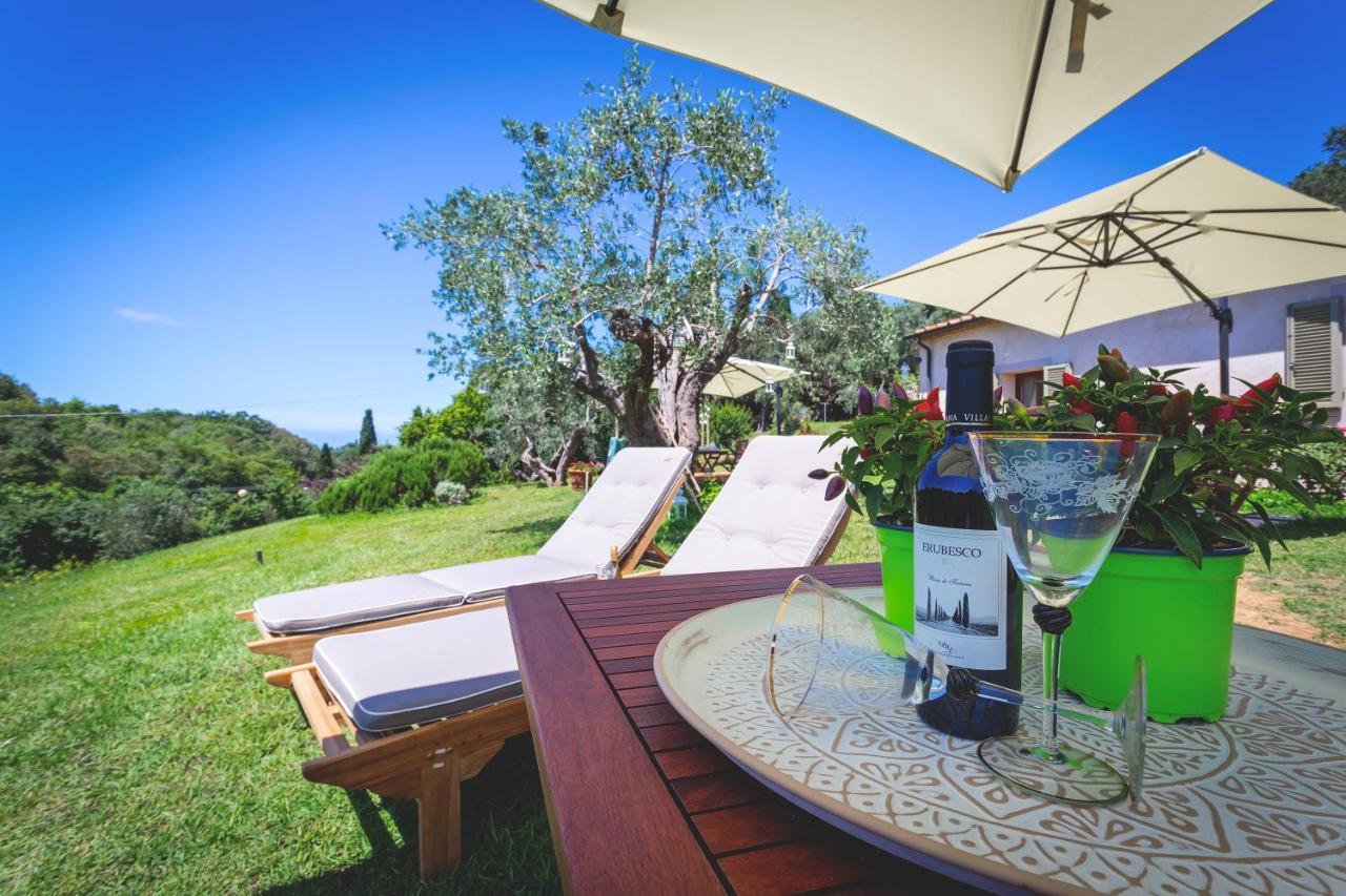 Gatto Rosso Bed and Breakfast Bolgheri Exterior foto